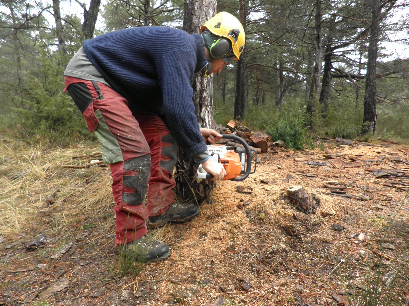 Débit d'une grume en plateaux à la tronçonneuse – La Yaute woodworking