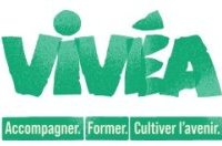 L’actu du financement des formations&nbsp;: Vivéa, fonds de soutien...
