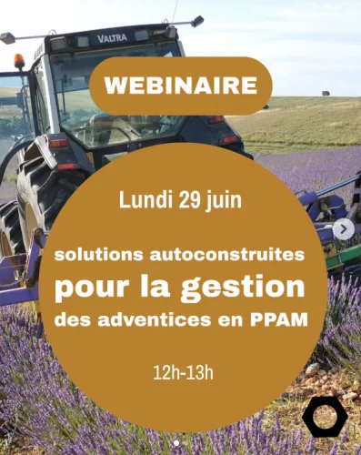 Webinaire technique&nbsp;: solutions innovantes pour la gestion des adventices en PPAM