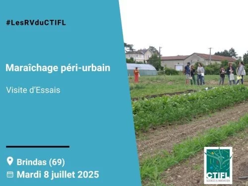 [Rhône] A Brindas - Démo d’outils pour les cultures de plein champs et sous Abris